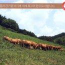 장수한우지방공사(유전자뱅크) 이미지