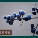 링컨고시원