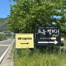 드로핀 | 울산 울주군 대형카페 드로핀 애견동반 가능한 키즈존 베이커리카페 후기