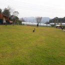 랩도그빌 이미지