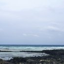 세화 엘라 이미지