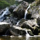 무주화이트펜션 이미지