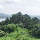 (주)제주프리투어 이미지