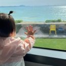 천리목장 이미지