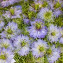 함께걷기 이지지역아동센터 이미지