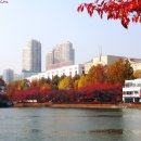 도심공원 이미지