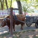 정승농장 이미지