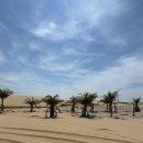 이팜 | 나트랑 아기랑 판랑투어 후기 내돈내산 코이팜 판랑투어 의상추천