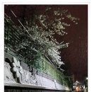 방아간PC방 티스토리