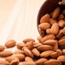 바디모어핏 이미지