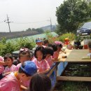파란꿈아트팜숲유치원 | 2019년6월12일 파란꿈아트팜숲유치원 화성달팽이 체험농장 방문