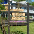 블루클리프 이미지