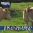 사산축산 이미지