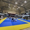 파이트체육관 이미지