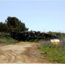 ★골란 고원(Golan Heights) 이미지