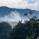 예술마을 705 이미지