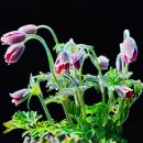 달맞이 펜션 이미지