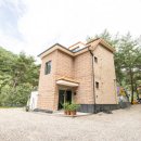 소나무세상 이미지