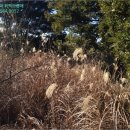 토산보건진료소 이미지