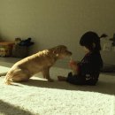 오첩반상 이미지