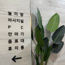 스타PC | 놀이방 있는 서산 찜질방 '금강산 보석 사우나'