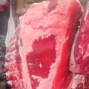 백마축산 이미지