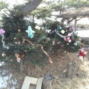 공항고등학교 이미지