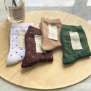 엠에스엠 이미지