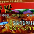 죽전뚱뚱이할머니족발