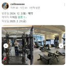N 피티짐 이미지