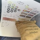 컬러하우스 | 제주퍼스널컬러 '컬러랩메이크업하우스' 솔직후기