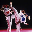 나라태권도체육관 이미지