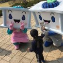코딩없이 엑셀로 하는 데이터분석