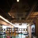 배드트레이너 이미지