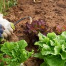 구암3농장 이미지