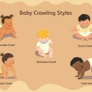 네발친구들 이미지