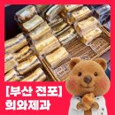 (주)부산냉장 | [부산빵집] 전포 희와제과 빵지순례ㅣ5번 방문 찐 후기 & 빵 나오는 시간 (+메뉴별 평점⭐️)