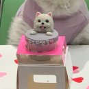 멍달구리 이미지