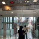 (4) 홍콩&amp;마카오 4박 6일 가족여행 Day 3 (디즈니랜드, 디즈니랜드 꿀팁이랑 어트랙션 추천)