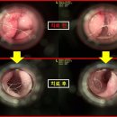 유기화동물의료센터 이미지