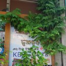 마마국시집 이미지