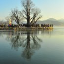 두물머리 이미지