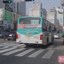 성광교통 이미지