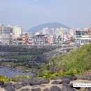 용두횟집 - 은평구 연서로6길 22 | 용두횟집