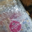 바다고양이식탁 이미지