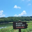 웬 <b>아이</b> <b>드림</b>