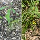 하동119안전센터 이미지