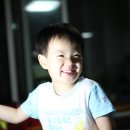 일면 이미지