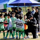 청양공설운동장 이미지