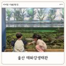 구영로 | 울산 아이랑 가볼만한 곳 태화강생태관 리뉴얼 관람 후기